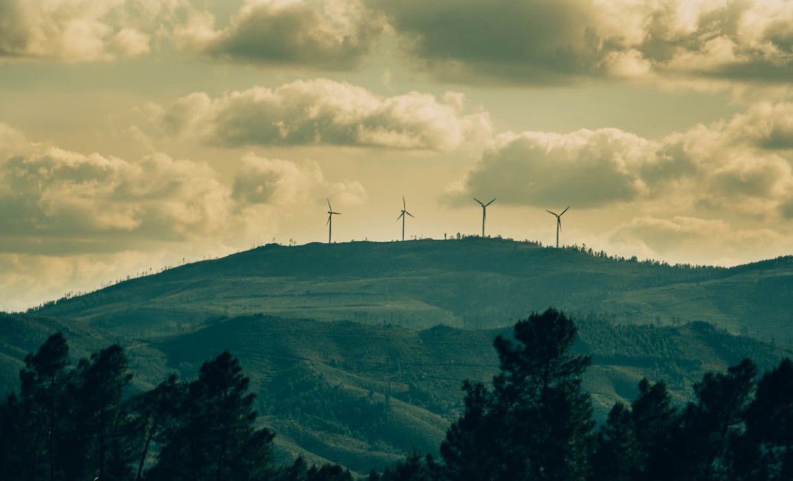 IFC Africa Go Green Fund