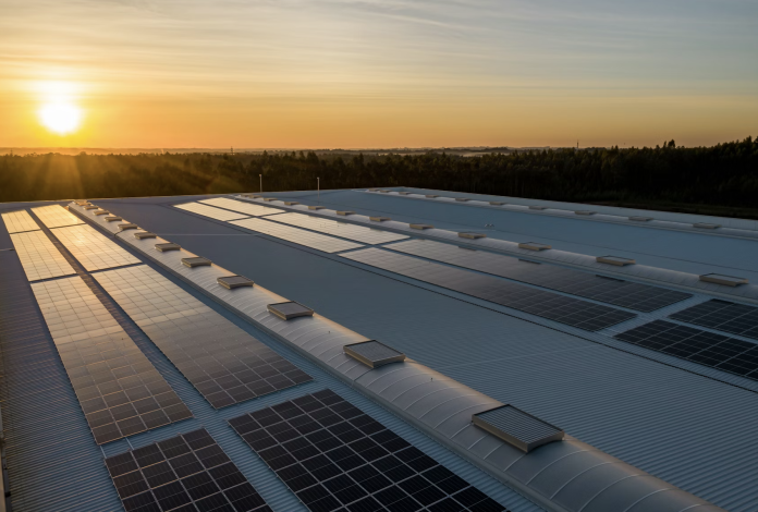FMO Solar Century